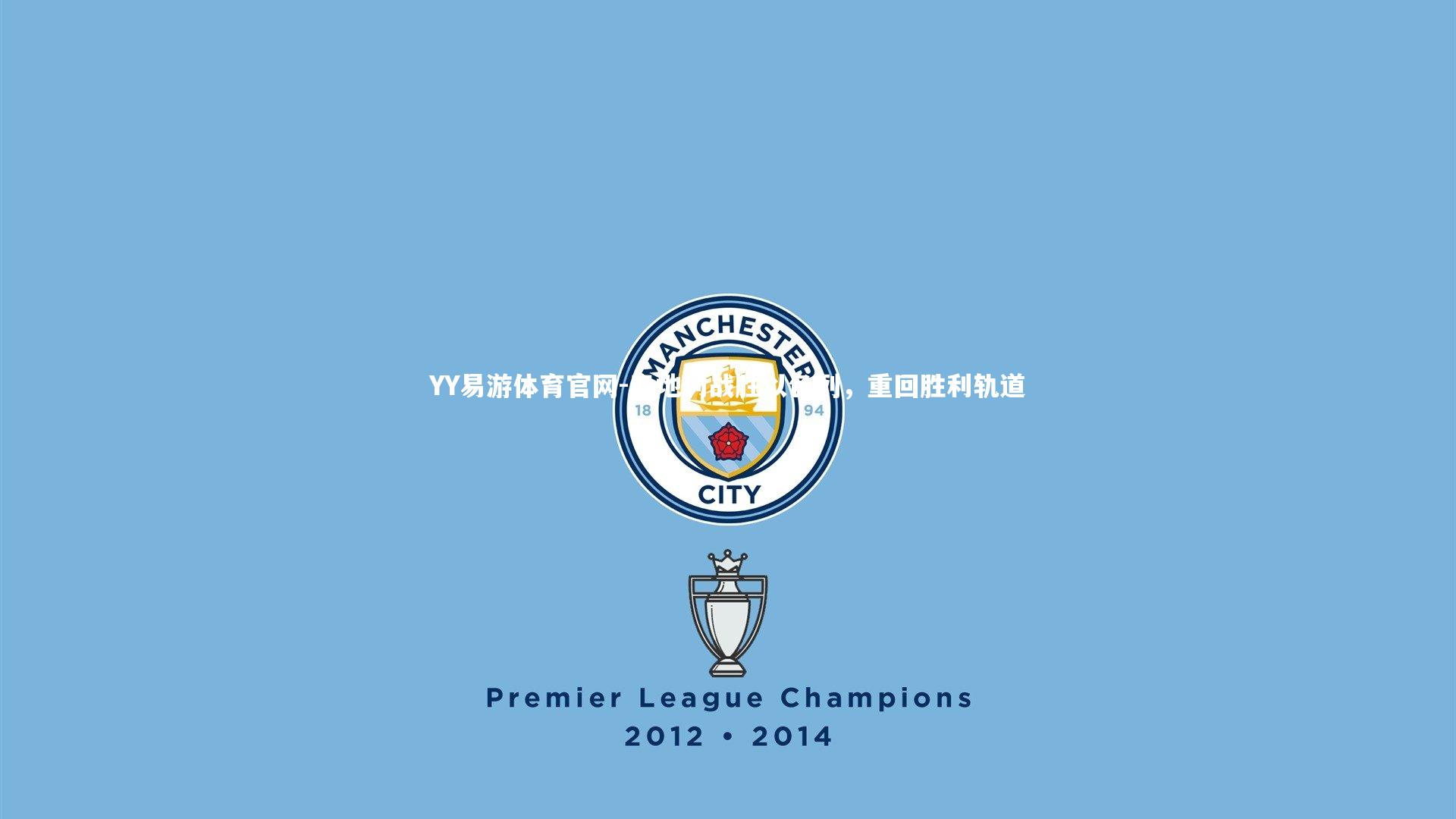 YY易游体育官网-奥地利战胜以色列，重回胜利轨道