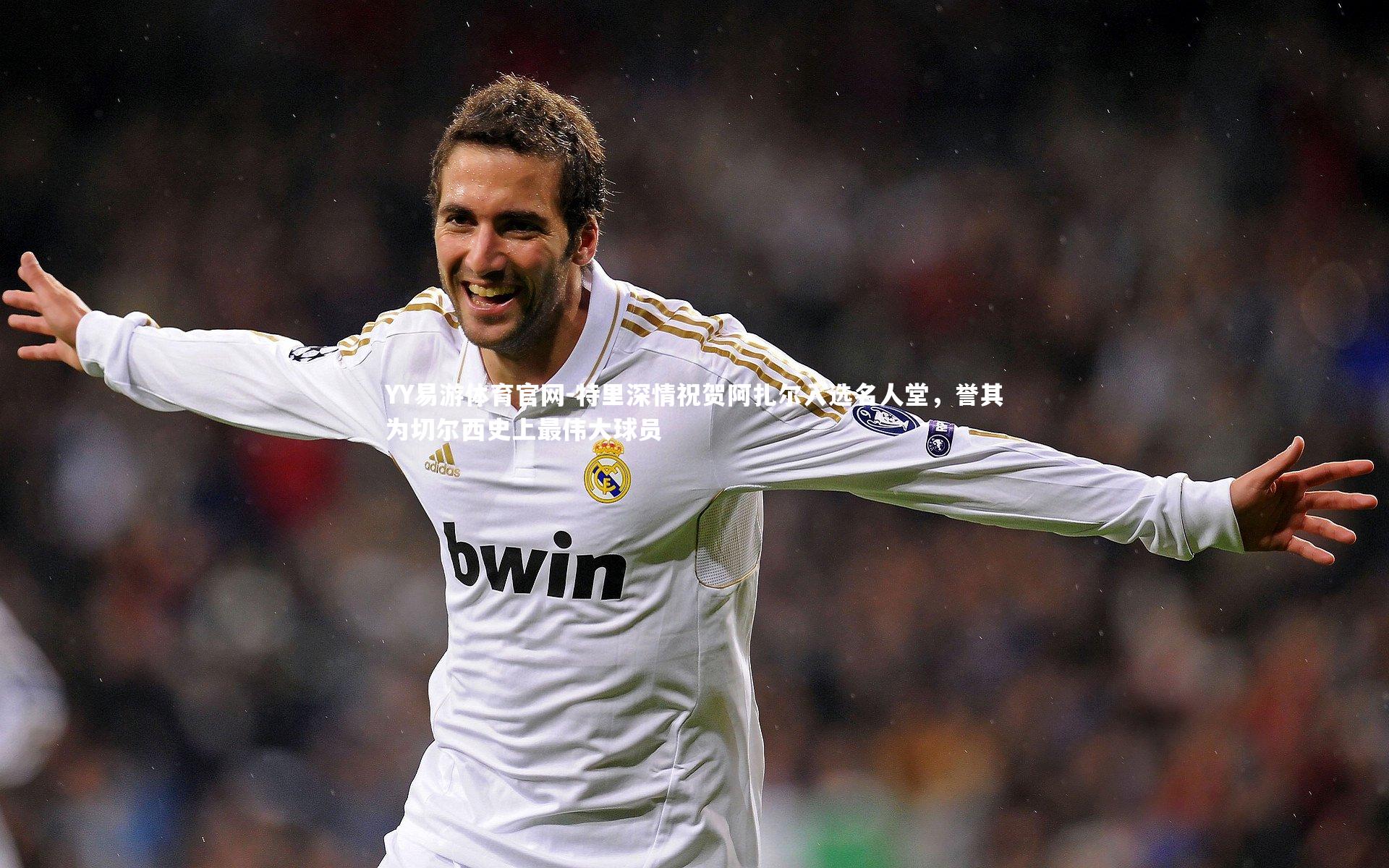 YY易游体育官网-特里深情祝贺阿扎尔入选名人堂，誉其为切尔西史上最伟大球员